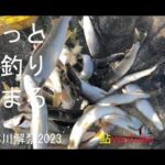 鮎youtube 20230515 鮎王国？物部川解禁！キター濁り