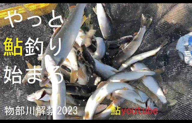 鮎youtube 20230515 鮎王国？物部川解禁！キター濁り