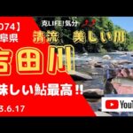 【#074】清流　吉田川の鮎釣り　2023.6.17