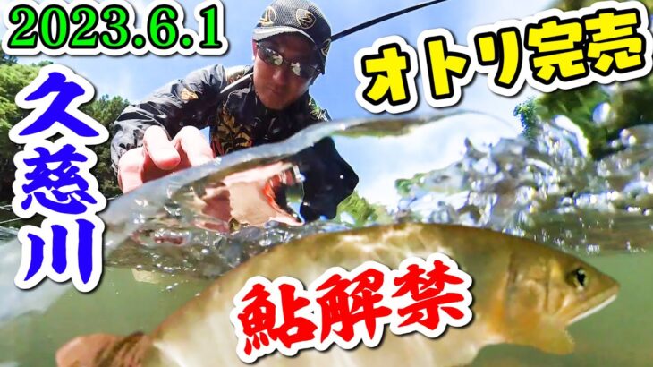オトリ150匹完売【2023.6.1久慈川鮎解禁】天然遡上がスゴ過ぎた!!