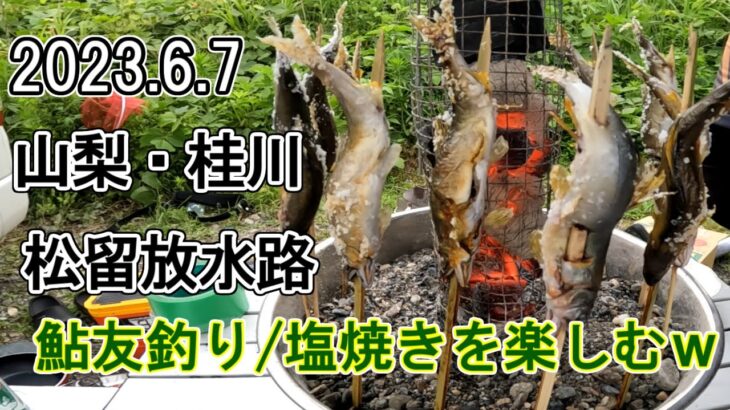 2023 .6 .7山梨県・桂川鮎釣り入掛かり＆塩焼きを楽しむ