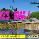 鮎2023那珂川の鮎釣り