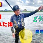 2023 鮎釣り 解禁日 午前中 釣られた後 どう釣る？
