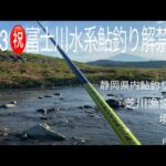 2023 ㊗️富士川水系鮎釣り解禁㊗️