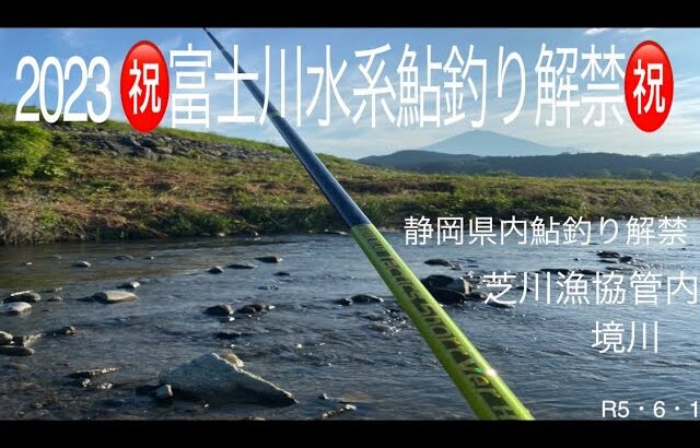 2023 ㊗️富士川水系鮎釣り解禁㊗️