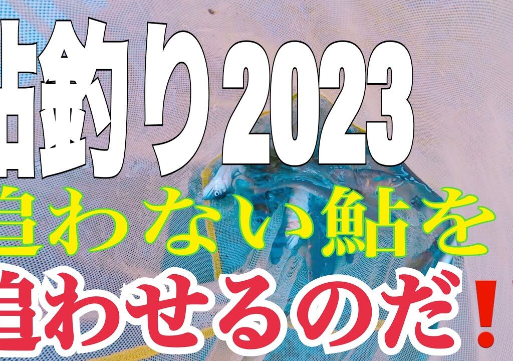 鮎釣り2023 追わない鮎を追わせるのだ