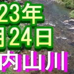 鮎釣り 強風  向郷橋 坂津橋 田垣外 石ぶり 大内山川 2023年