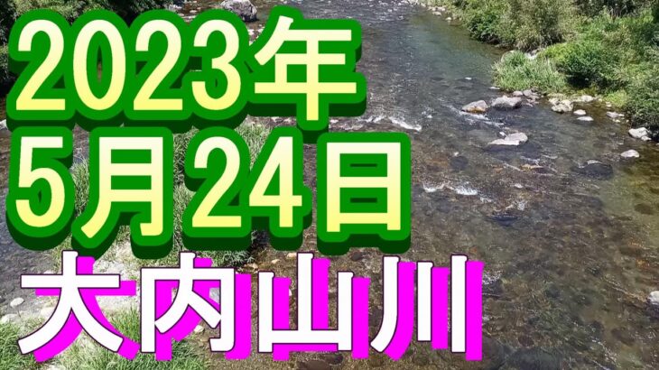 鮎釣り 強風  向郷橋 坂津橋 田垣外 石ぶり 大内山川 2023年