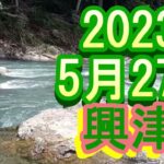 鮎釣り 平水笹濁り 宮原オトリ店前 興津川 2023年