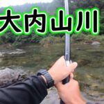 鮎釣り、好きな釣り方で楽しめるようになってきました。【2023年　大内山川の鮎釣り】