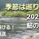 2023年鮎の解禁　秒で掛ける必殺技をご覧あれ！