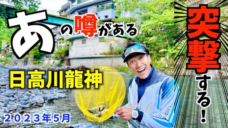 【鮎釣り2023】あの日高川龍神が「釣れない？」本当に釣れないのか突撃！理由もありました。