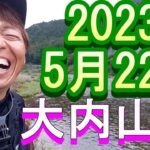 鮎釣り 平水クリア ナラリオトリ店上 伊良野橋 寺浦橋上下 不動野橋上 柏野大橋  大内山川 2023年
