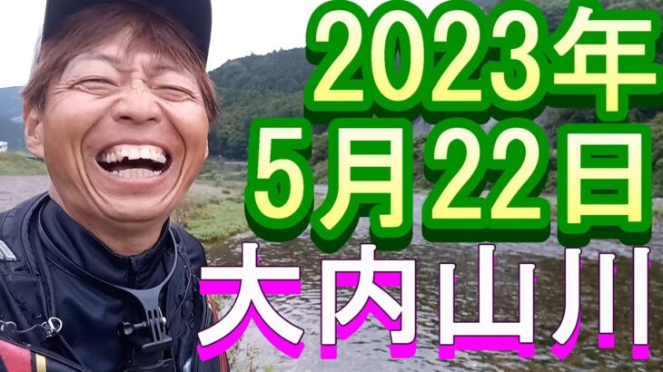 鮎釣り 平水クリア ナラリオトリ店上 伊良野橋 寺浦橋上下 不動野橋上 柏野大橋  大内山川 2023年