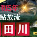 【鮎釣り】益田川稚鮎放流2023  @user-xs9bw5vw2s