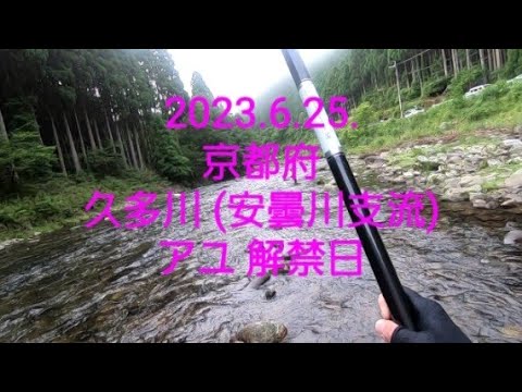 2023.京都 久多川 アユ解禁日‼️(2023.6.25)