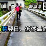【鮎釣り】白川（岐阜県）｜2023.6.11【友釣り】