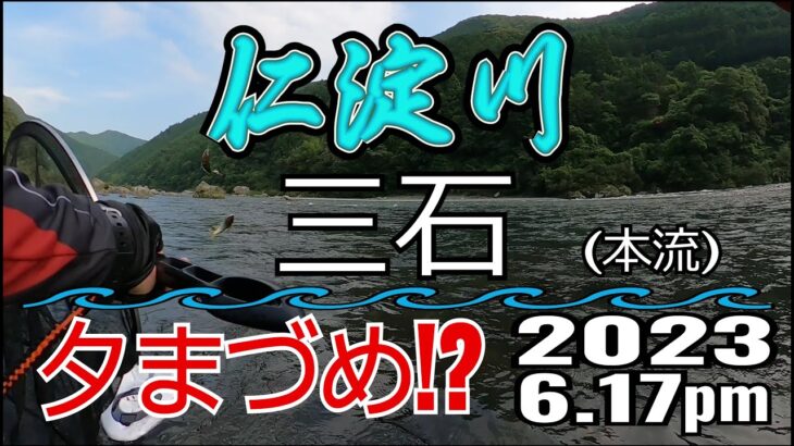 アユの友釣り 仁淀川(高知県) 本流 三石 2023.6.17pm