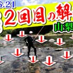 【2023.6.21桂川”鮎釣り”2回目解禁】台風2号も去って入れ掛かりだ!!前編【山梨・桂川】