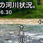 【鮎釣り】河川状況とちょっと釣り☔️白川、黒川（岐阜県）｜2023.6.30【友釣り】