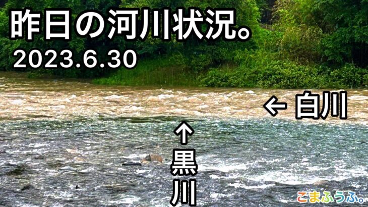 【鮎釣り】河川状況とちょっと釣り☔️白川、黒川（岐阜県）｜2023.6.30【友釣り】