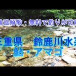 三重県　鈴鹿川水系（御幣川・他）鮎探しとアマゴ釣り　2023年6月