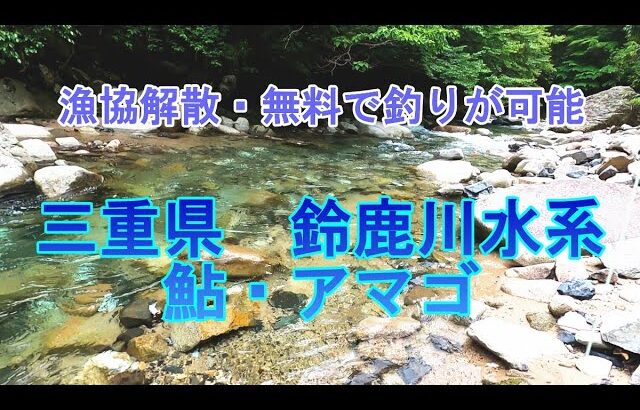 三重県　鈴鹿川水系（御幣川・他）鮎探しとアマゴ釣り　2023年6月