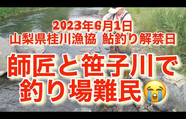 山梨県桂川漁協 笹子川 鮎釣り 2023年6月1日 解禁🎣