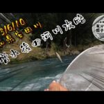 【鮎釣り】2023/6/10  ダイワ鮎マスターズ四国地区大会が延期になったので。。。