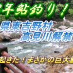 【高見川鮎釣り解禁日】2023年6月11日雨の日の解禁日の情報＃鮎釣り＃高見川＃解禁日