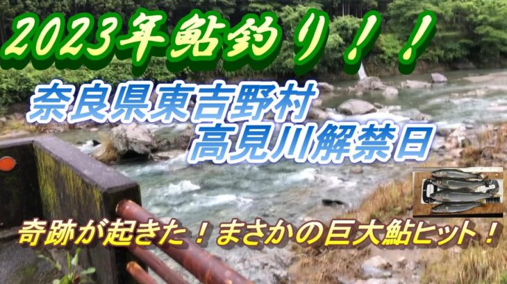 【高見川鮎釣り解禁日】2023年6月11日雨の日の解禁日の情報＃鮎釣り＃高見川＃解禁日