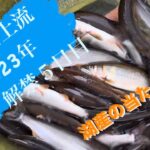 2023年　6月21日　馬瀬川上流　鮎釣り　解禁５日目！