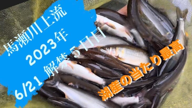 2023年　6月21日　馬瀬川上流　鮎釣り　解禁５日目！