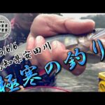 【鮎釣り】2023/6/6  大増水後の安田川を釣る