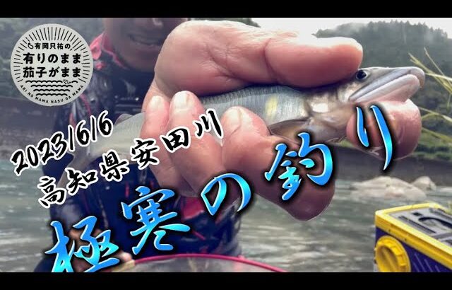 【鮎釣り】2023/6/6  大増水後の安田川を釣る