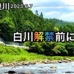 【鮎釣り】2023年初釣行！長良川（岐阜県）｜6月7日【友釣り】