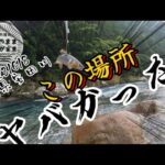 【鮎釣り】2023/6/8 先行者が釣った後を釣る