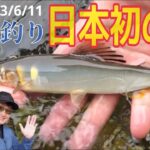 【鮎釣り2023】NEW丸佐おとり店と遡上アユで賑わう長良川での鮎釣り
