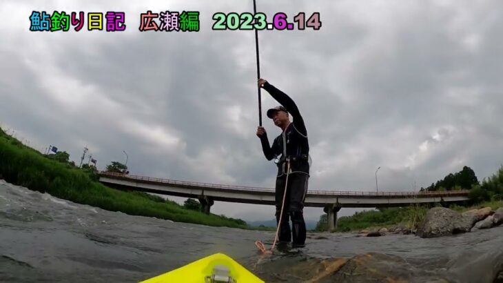 鮎釣り　広瀬橋　23 6 14