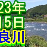 鮎釣り 30cm高 下万場橋下 カンジの瀬 長良川 郡上 2023年