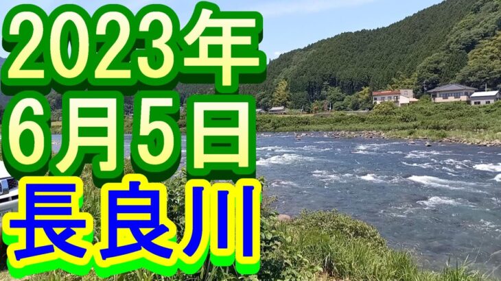 鮎釣り 30cm高 下万場橋下 カンジの瀬 長良川 郡上 2023年