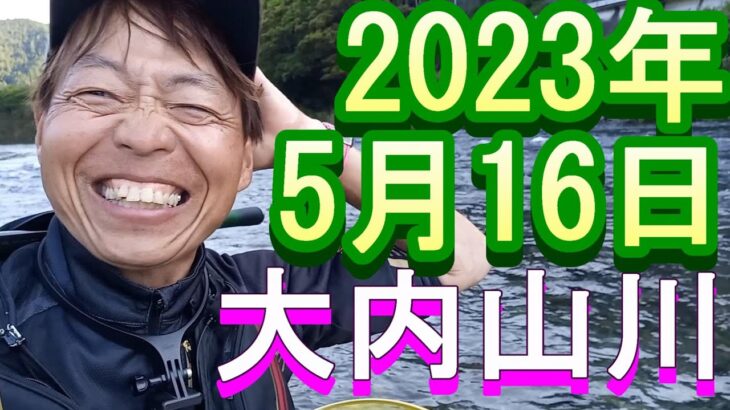鮎釣り 30cm高引水 阿曽大橋上 平瀬橋上下 小広瀬橋上 大内山川 2023年