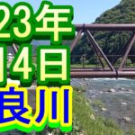 鮎釣り 40ｃｍ高引水薄濁り 鮎パーク下 上万場上下 長良川 郡上 2023年