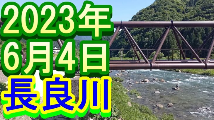 鮎釣り 40ｃｍ高引水薄濁り 鮎パーク下 上万場上下 長良川 郡上 2023年