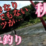 【鮎釣り】秋川解禁5日後の釣行#5