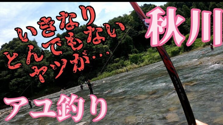 【鮎釣り】秋川解禁5日後の釣行#5