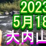 鮎釣り 5cm高引水クリア 坂津橋上下 田垣内 大内山川 2023年