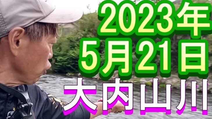 鮎釣り 5cm高クリア 伊良野橋上下 不動野橋上 大内山川 2023年