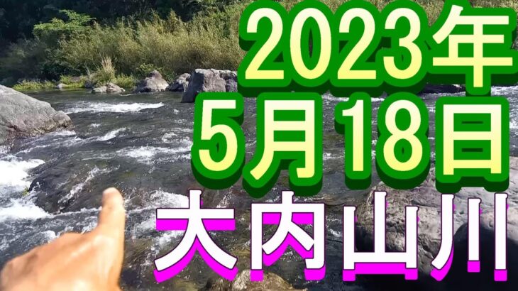 鮎釣り 5cm高引水クリア 坂津橋上下 田垣内 大内山川 2023年