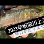 6月13日　板取川上流　鮎釣り　僕には難易度高かった・・・